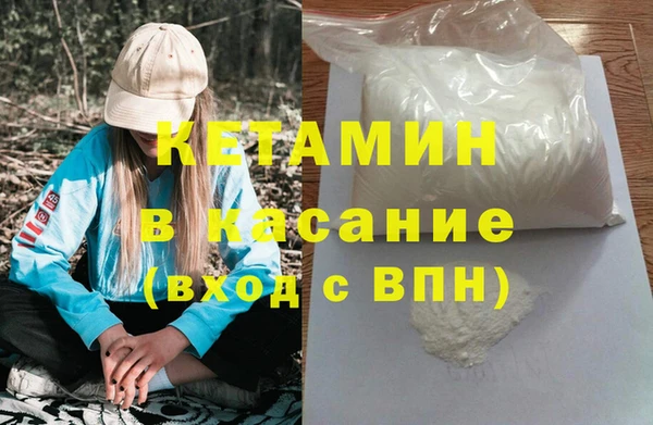 шишки Вяземский